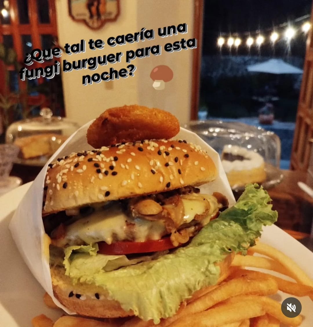 Bebidas